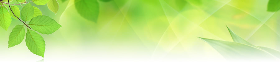 p|eؖX|嗘wOi@mbEtEɕ{E}s